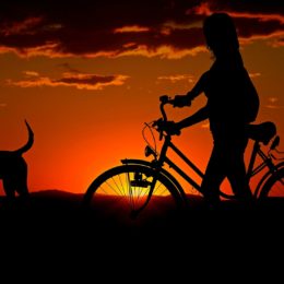 Faire du sport avec son chien : le vélo