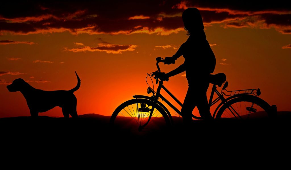 Faire du sport avec son chien : le vélo